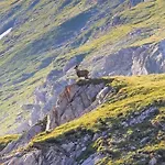 Bed & Breakfast Le Chalet Des Anges *