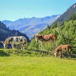Bed & Breakfast Le Chalet Des Anges *
